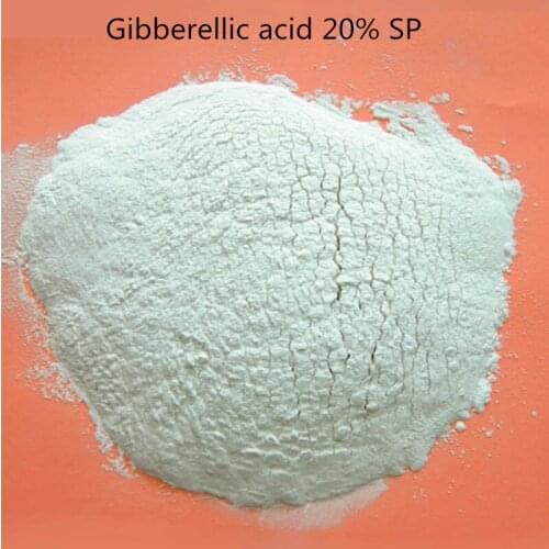 Free shipping GA3 20% SP Gibberellin 20% SP GA3 water soluble Gibberellic acid 20% SP Plant Food 20 gram with low price