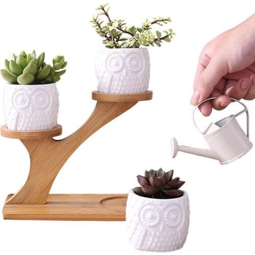 Simple White Succulent Plant Flower Pot Holder Ceramic Owl Pumpkin Pattern Pot Treetop Shaped Bamboo Shelf Pot Planter Set