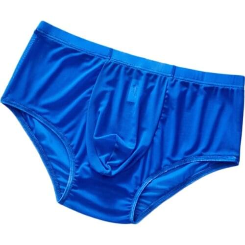 1Pcs Transparent Mesh Underwear For Men Low Rise Transparent Gauze Male Panties Breathable U Pouch Knickers Briefs Gay Lingerie