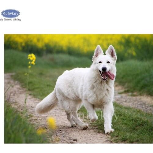 5D DIY Diamond Painting "White Swiss Shepherd Dog"Full square diamond Embroidery pet mosaic picture pastes home Decor painting