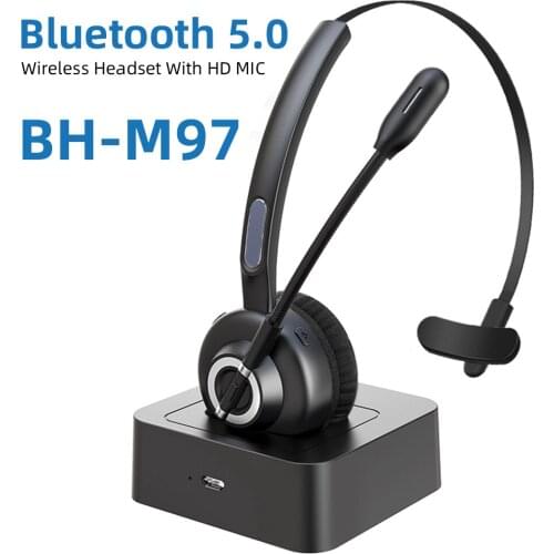 Blueskysea Headphones With Microphone