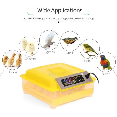 48-Eggs Intelligent Automatic Egg Incubator Digital Temperature Control Egg Incubator Hatcher for Chicken Duck Bird AC110-220V