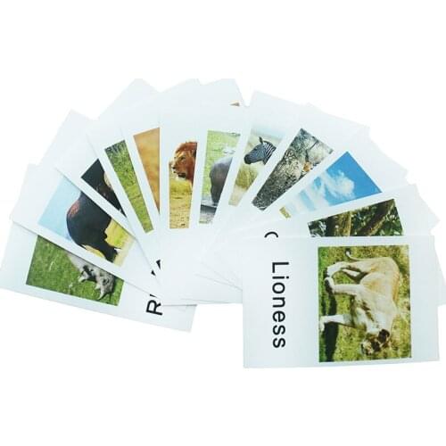 Montessori Language Materials Animals Words Learning Card Educational Toys for 3 Year Olds Kids Juguetes Montessori MJ1944H