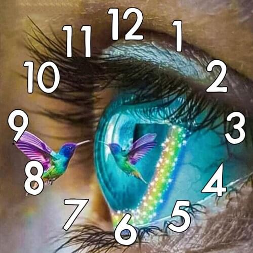 Full Square 5D Diamond Painting Kit With Clock Mechanism eye and flying bird Cross stitch 3d Embroidery Mosaic Window Flower m2