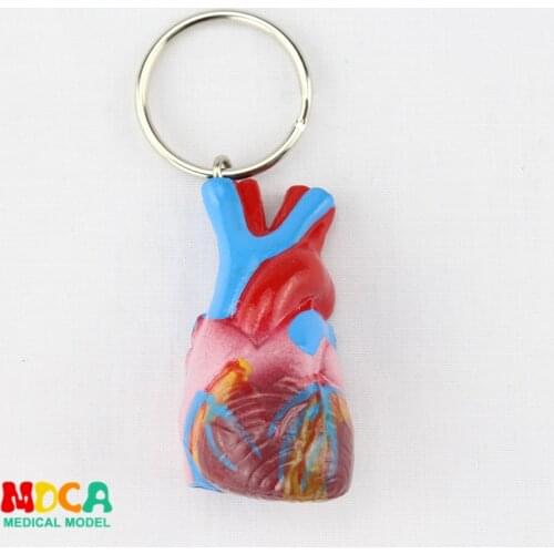 Human heart Keychain ornament gift pendant key buckle human.organ anatomy medical teaching toy YSK021