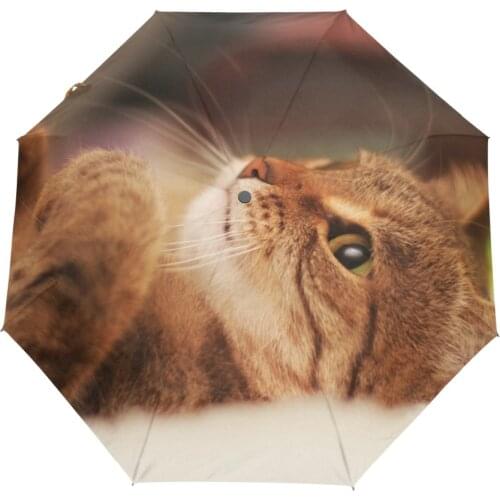 Cute Cat Printed Fashion Fully Automatic Umbrella Women Umbrellas Outdoor Sun And Rain Umbrella Sunshade Parasol Rain Women