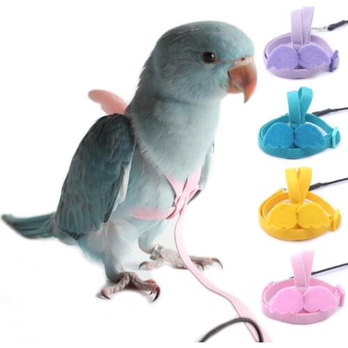 Cockatiel Parrot Harness Leash Kit Adjustable Outdoor Pet Safety Flying Training Rope for Small Birds Macaw Budgie Accesories