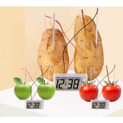 Novel Creative Fruit Potato Clock Vegetable Fruit Green Energy Science learning education toys school Experiment tool Kit