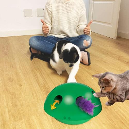 Pop N' Play Interactive Cat Toy, Motorized Peek-A-Boo Play with Mouse and Feather Toys For Cat Sharpen Claw Pet Supplies