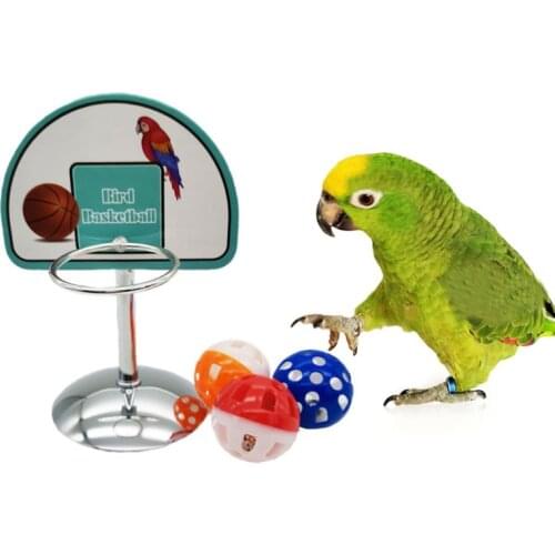 Pet Parrot Toys Basketball Hoop Props Parakeet Bells Balls Puzzle Game Play Toy Parrots Chew toy Bird Supplies C42