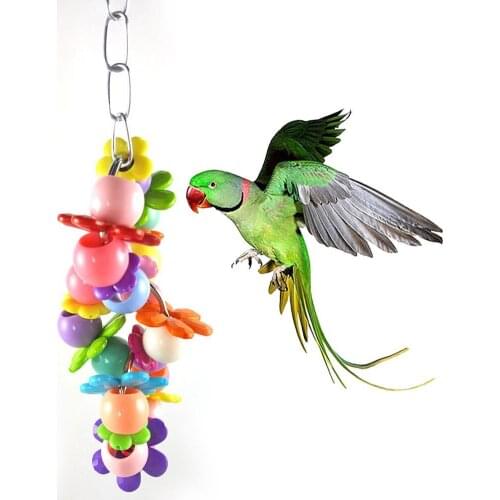 Creative Novelty Design Colorful Beads Circle Birds Cage Hanging Pet Parrot Playing Chewing Fun Round Color Decoration Pendant