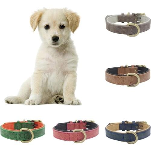 Pet Dog Puppy Adjustable Collar Buckle Soft Outdoor Training Safe Neck Strap