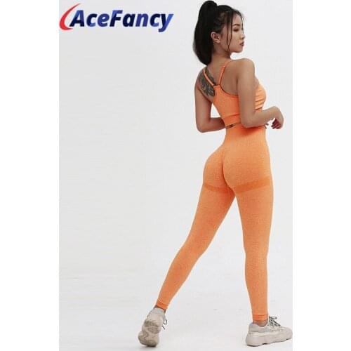 Womens Sports Suit Gym Set Women Yoga Tank Top Seamless Leggings Sport Women Fitness Set Gym Clothing ZC2426 Sport Clothes