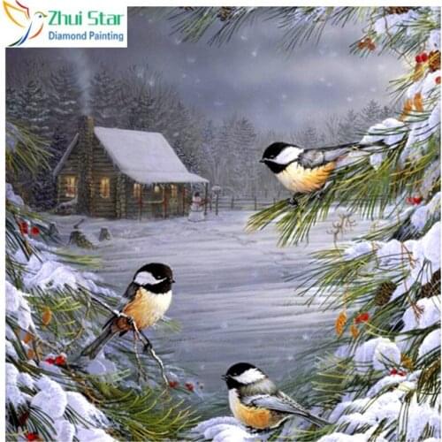 5D diamond painting Bird House painting Embroidered full diamond cross stitch picture diamond painting gx