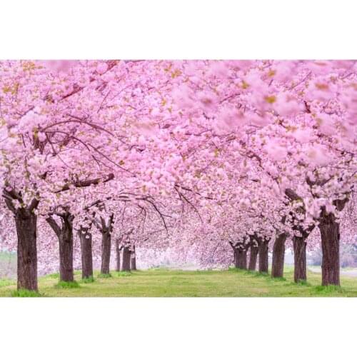 Flowers Tree Garden Forest Landscape Photography Backgrounds Customized Portrait Photographic Backdrops For Home Photo Studio