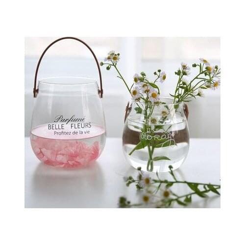 Glass Plant Vase Pot Transparent Flower Glass Tabletop Vase For Home Decoration Tabletop Home Bonsai Decoration Flower Vase