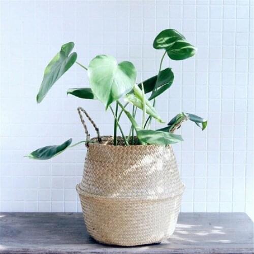 1pcs Basket Rattan Folding Wicker Handle Round Natural Sea Grass Plant Storage