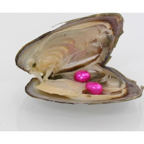 Twin Pearls Mussel Shells Love Pearls for Party 20 Colors Bulk 20pcs Fuchsia Pink Rice Freshwater Pearl Oysters 7-8MM OvalABH723