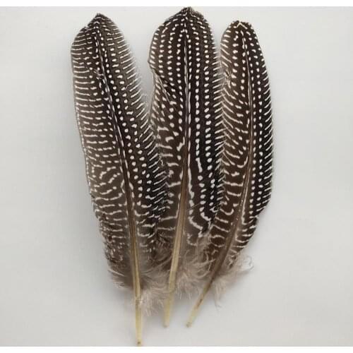 Wholesale 50pcs Pretty Natural Pearl Chicken Feathers 6-8inch/15-20cm DIY Jewelry Clothing Hat Decoration Accessories
