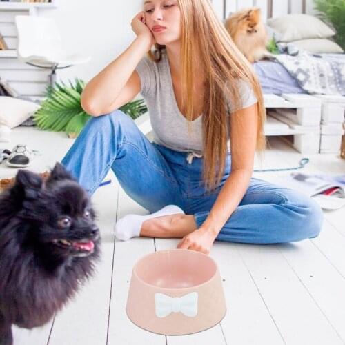 Portable Dog Pet Bowl Bowknot Round Shatter-resistant Feeder Durable Collapsible Cute Puppy Food Container Pet Drinking Water