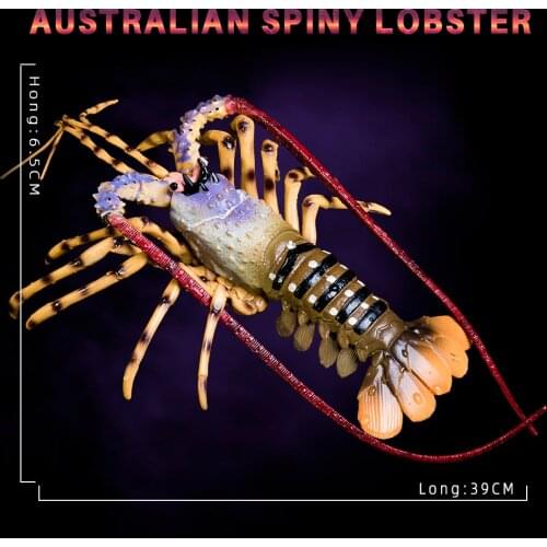 HiTwo Toys And Goods For Creativity