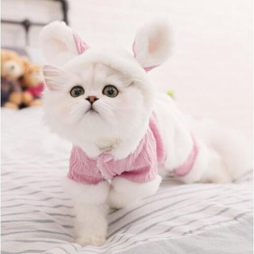 Hoopet  China