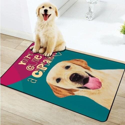 Cute 3D Print Door Mats for Entrance Door Character cute dog animals Pattern Carpets Living Room Dust Proof Mats Home Decor