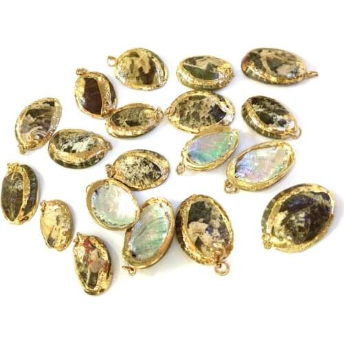 Natural Shell Conch Pendants Irregular Shape Jewelry for Jewelry Making DIY Necklace Bracelets Accessories 20x30mm 25x35mm