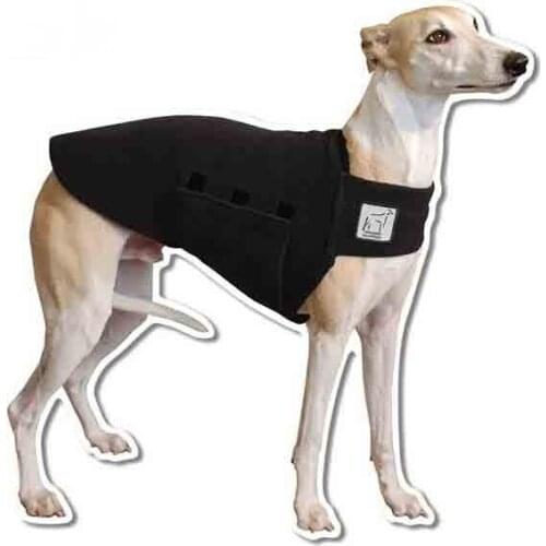 Whippet Tummy Warmer Dog Vest Car Stickers DIY Waterproof Animal Decals Vinyl Decoration Door Body Window Decal Kk13*13cm