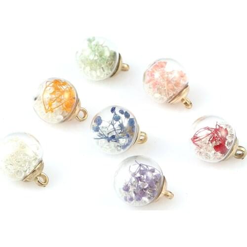 Doreen Box Glass & Dried Flower Charms Pendants Round Multicolor Transparent Clear Rhinestone Pendants DIY Finding 21x16mm,5 PCs
