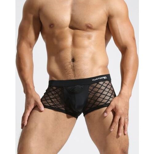Breathable Mesh Mens Boxer Four Corner Underwear Wholesale Transparent Boxer Shorts U Pouch Pants Trunks Boxer Gay Male Panties