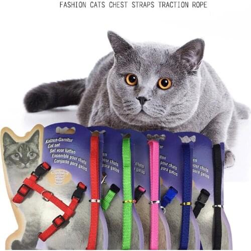 Nylon Pet Lead Leash Harness Kitten Belt Strap Safety Rope Adjustable Dog Collar