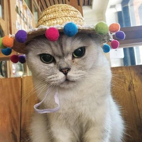 Fashion Pet Dogs Mini Straw Hat Chic Fluff Ball Decoration Sombrero Sun Hats Beach Hawaii Style Woven Straw Hat For Puppy Kitten