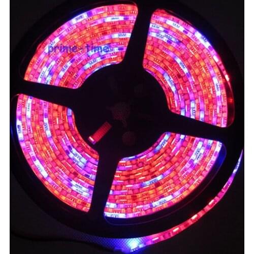 5M/16.4ft DC12V IP65 Epoxy Resin Waterproof 5050SMD 60LED/M 5 Red 1 Blue 5:1 Mix Color Plant Grow Aquarium Flexible LED Strip
