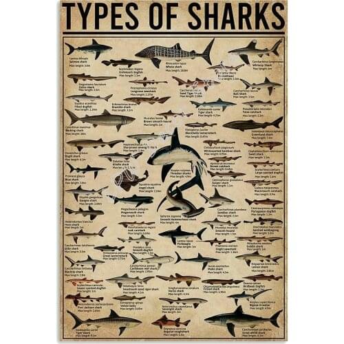 All Types of Shark Poster Notice for Diver for Decor Bathroom Gift for Diver Signs Vintage Road Signs High Way Metal Tin Sign