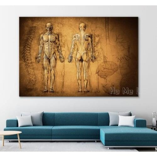 Human Anatomy Drawing Canvas Poster Prints Bathroom Wall Decor