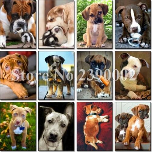 Full 5D Diamond Painting Bull Terrier Kits Handmade Needlework DIY Diamond Embroidery Animal Rhinestone Mosaic Dog Picture