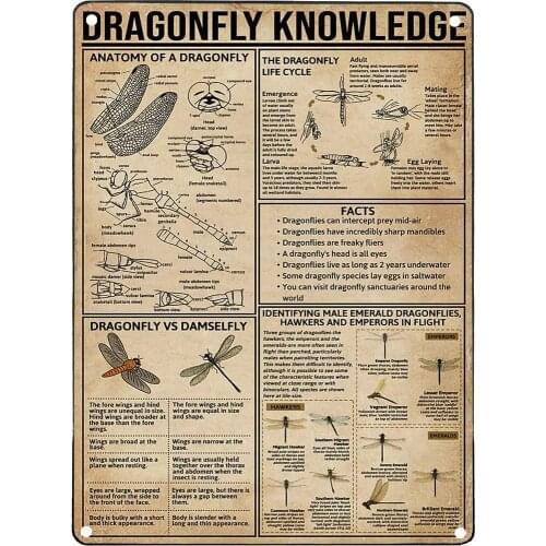 Tin Sign Dragonfly Knowledge Retro Vintage Metal Sign Decoration Bar Cafe Club Plaque Poster