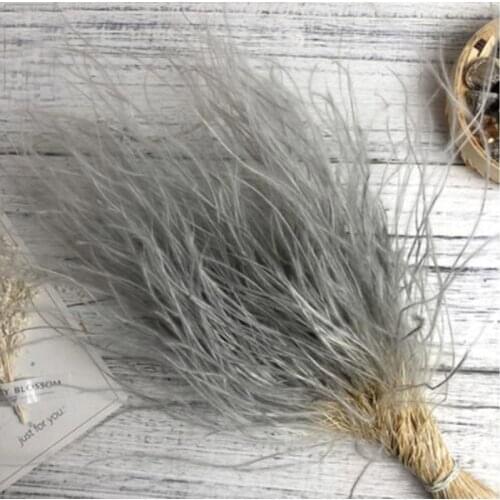 15g 15-30cm Preserved Grey Slender Grass Flowers Feather For Craft Gift Material Accessory Decoration Flower Arranging DIY