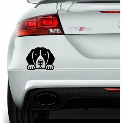 Funny Peeking Beagle Dog Vinyl Sticker for Car Wall Windows Laptop Bumper Decal Various Colours & Sizes