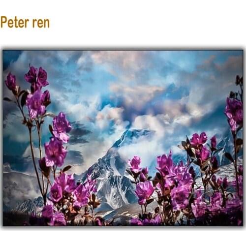 Peter ren DIY Diamond Painting Craft accessories Cross-stitch Diamond Mosaic orchids thorn to draw needlework diamond embroidery