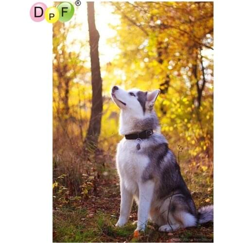 DPF diamond embroidery dog diamond painting cross stitch diamond mosaic full square rhinestone home decoration