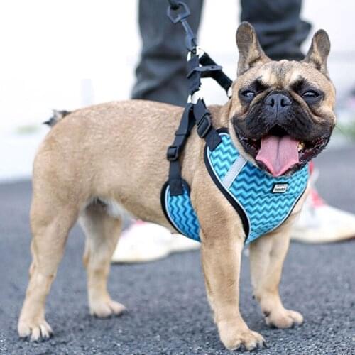 Adjustable Reflective Dog Harness with Leash Pet Vest Walking Training Puppy Polyester Mesh Breathable Harness For Small Medium
