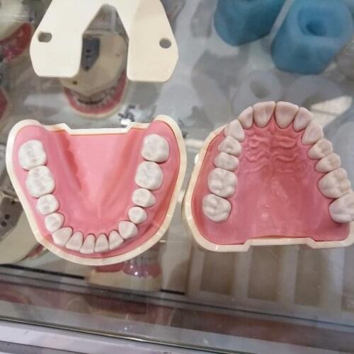 Good Quality Dental Soft Gum Teeth Model Removable 28pc Teeth NISSIN 200 KAVO head model Compatible dentist teaching learning