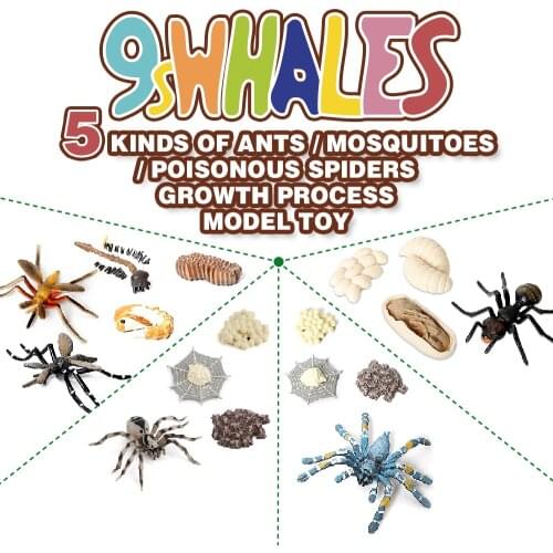 Simulation Life Cycle Figurines Of An Ant,Mosquito,Spder,Tarantula Life Stages Figures for Learning and Teaching Educational toy