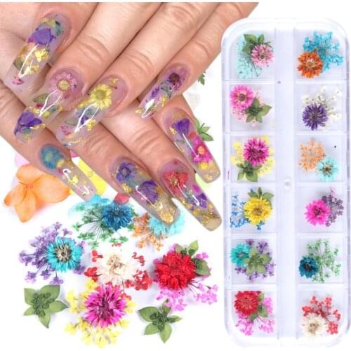 Dry Flowers Nail Art Accessories Real Dried Flower Leaf Stickers 3D Nail Decorations UV Gel Polish Slices Manicure Tool LAF01-10