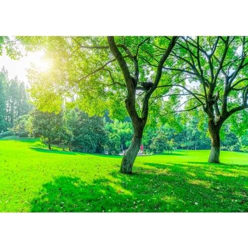 Grassland Trees Sunshine Photo Background Vinyl Cloth Backdrops Photography Props for Children Baby Portrait Scenery Photocall