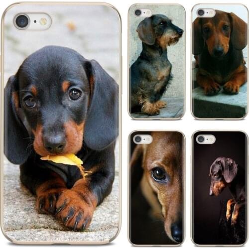 Soft Silicone Case For Samsung Galaxy A10 A40 A50 A70 A3 A5 A7 A9 A8 A6 Plus 2018 2015 2016 2017 Dachshund Teckel Dackel Dog