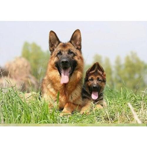German Shepherd 5D DIY Diamond Painting Full Square/Round 3D Diamond Embroidery Sale Pictures of Rhinestones mosaic Decor FG1980