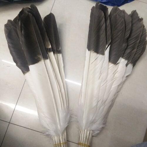 Wholesale perfect 10pcs high quality scare natural Eagle tail feathers 45-50 cm/18-20 inch Decorative diy stage performance